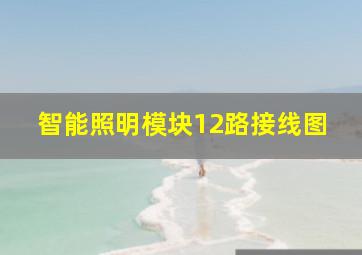 智能照明模块12路接线图