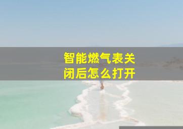 智能燃气表关闭后怎么打开