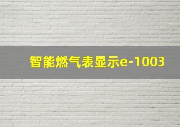 智能燃气表显示e-1003