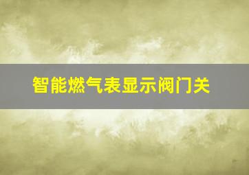 智能燃气表显示阀门关