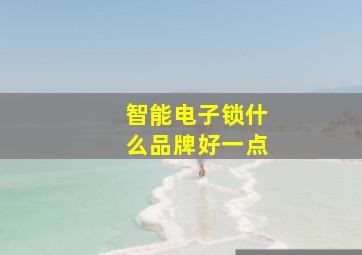 智能电子锁什么品牌好一点