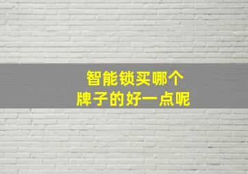 智能锁买哪个牌子的好一点呢