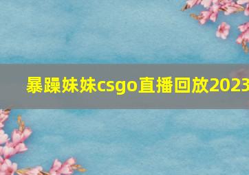 暴躁妹妹csgo直播回放2023