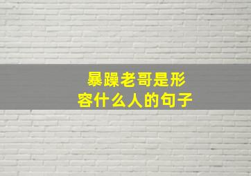 暴躁老哥是形容什么人的句子