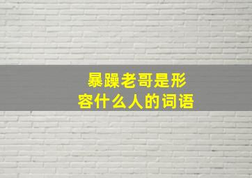 暴躁老哥是形容什么人的词语