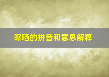 曝晒的拼音和意思解释