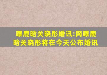 曝鹿晗关晓彤婚讯:网曝鹿晗关晓彤将在今天公布婚讯