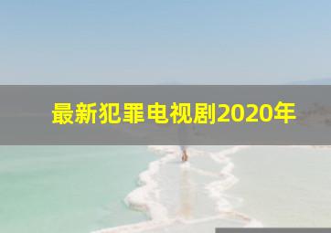 最新犯罪电视剧2020年