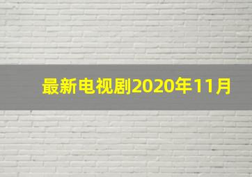 最新电视剧2020年11月