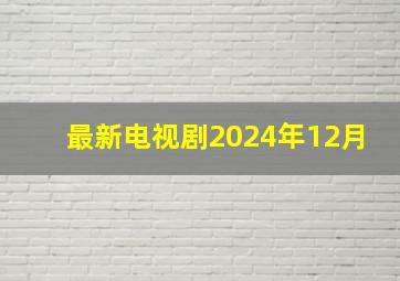 最新电视剧2024年12月