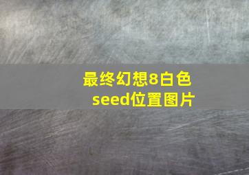 最终幻想8白色seed位置图片