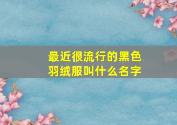 最近很流行的黑色羽绒服叫什么名字