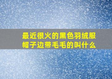 最近很火的黑色羽绒服帽子边带毛毛的叫什么