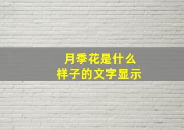 月季花是什么样子的文字显示