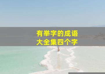 有举字的成语大全集四个字