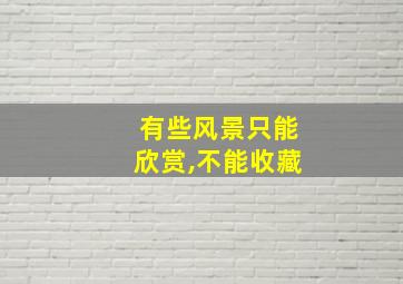 有些风景只能欣赏,不能收藏