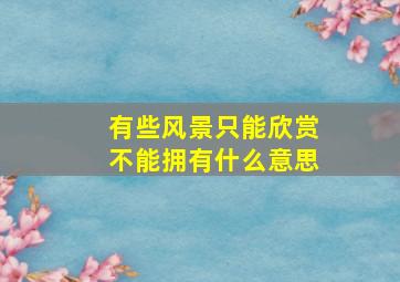 有些风景只能欣赏不能拥有什么意思