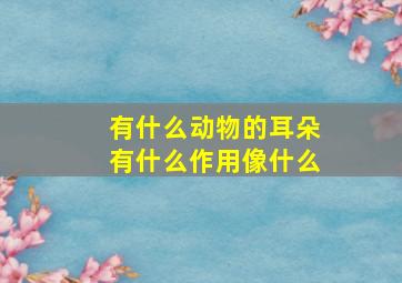 有什么动物的耳朵有什么作用像什么