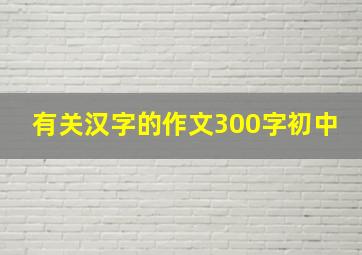 有关汉字的作文300字初中