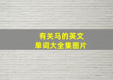 有关马的英文单词大全集图片