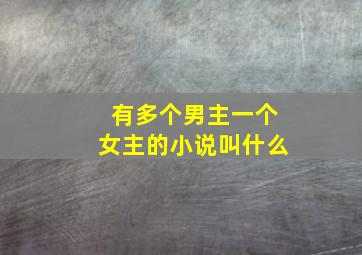 有多个男主一个女主的小说叫什么