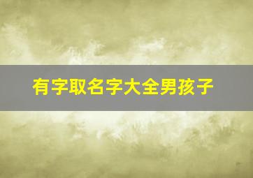 有字取名字大全男孩子