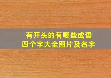 有开头的有哪些成语四个字大全图片及名字