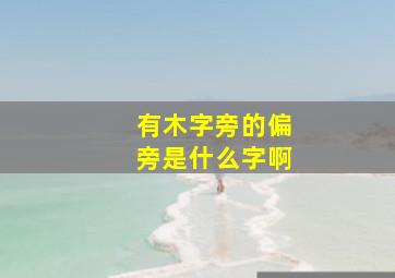 有木字旁的偏旁是什么字啊