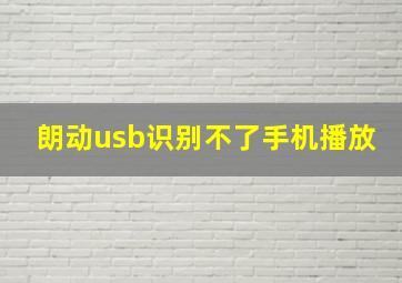 朗动usb识别不了手机播放