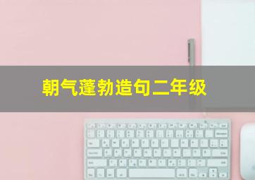 朝气蓬勃造句二年级