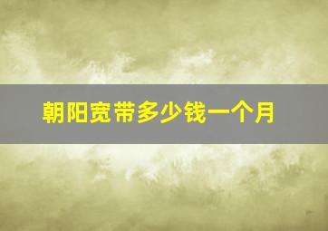 朝阳宽带多少钱一个月