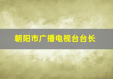 朝阳市广播电视台台长