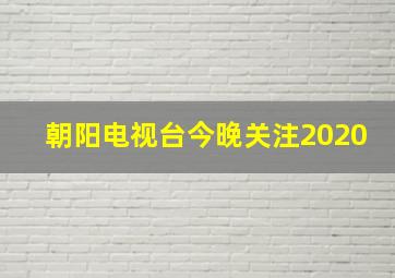 朝阳电视台今晚关注2020