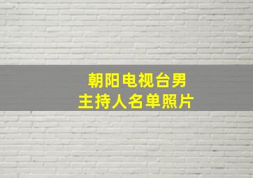 朝阳电视台男主持人名单照片