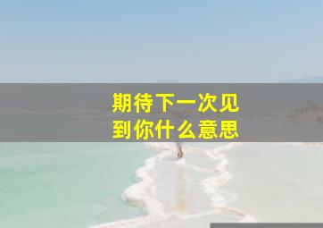 期待下一次见到你什么意思