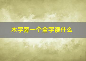 木字旁一个全字读什么