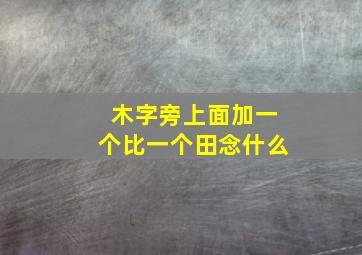 木字旁上面加一个比一个田念什么