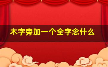 木字旁加一个全字念什么