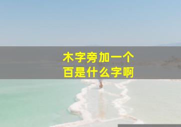 木字旁加一个百是什么字啊