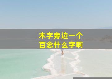 木字旁边一个百念什么字啊