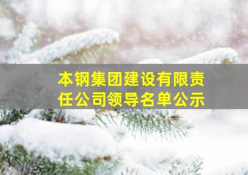 本钢集团建设有限责任公司领导名单公示