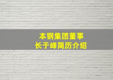 本钢集团董事长于峰简历介绍