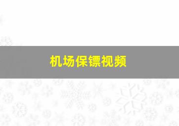 机场保镖视频