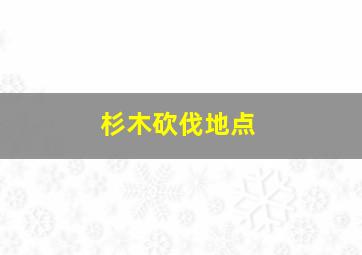 杉木砍伐地点