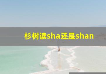 杉树读sha还是shan