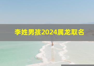 李姓男孩2024属龙取名