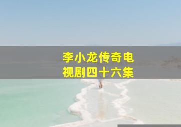 李小龙传奇电视剧四十六集