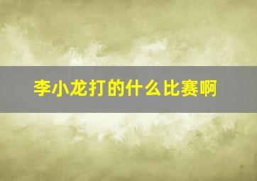 李小龙打的什么比赛啊