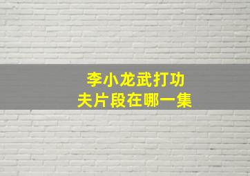 李小龙武打功夫片段在哪一集