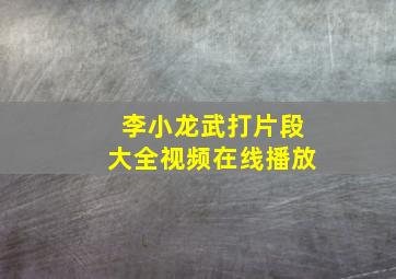 李小龙武打片段大全视频在线播放